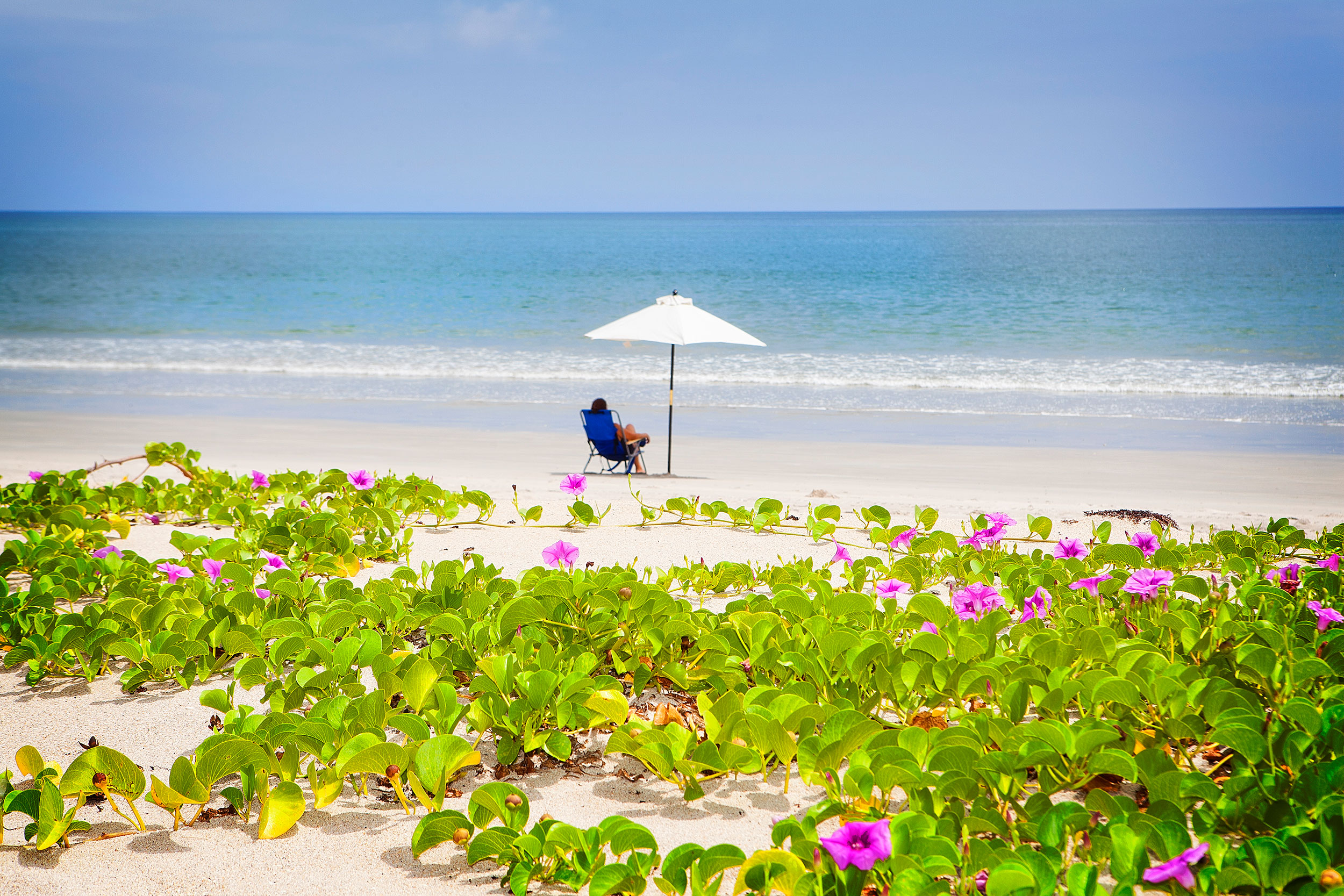 Sunny view of the horizon on a white sandy beach. In the distance, a person lounges underneath a white umbrella.